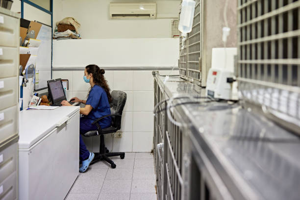 jovem técnica veterinária feminina trabalhando em pc desktop - veterinary office - fotografias e filmes do acervo