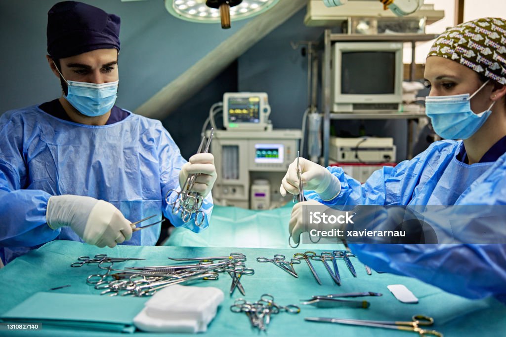 Veterinary Surgical Team Organizing Instruments Waist up view of young doctors in masks, caps, gloves, and operating gowns arranging tray of scalpels, scissors, forceps, and clamps in operating room. Surgical Equipment Stock Photo
