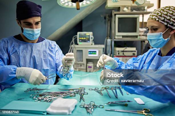 Veterinary Surgical Team Organizing Instruments Stock Photo - Download Image Now - Surgical Equipment, Surgery, Medical Tray