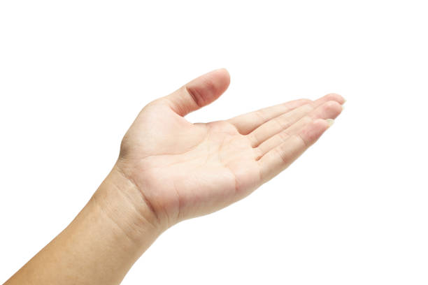 Human's hand holding something on isolated with clipping path.