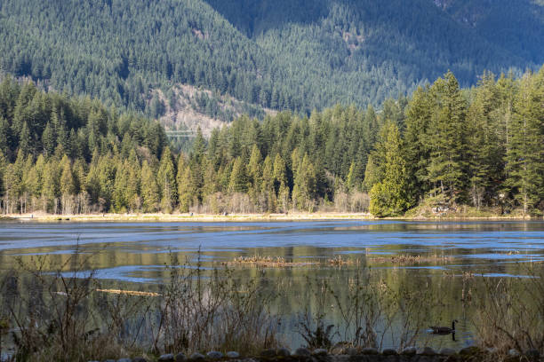 istock Minnekhada wetland area 1310829500