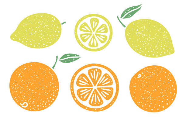 Citrus fruit illustration set Vector illustrations of lemons and oranges with a grainy texture. Slices and whole fruits with stem and leaf. citrus stock illustrations