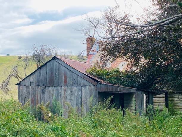 istock Old Heritage Timber Slab Hut 1310841226
