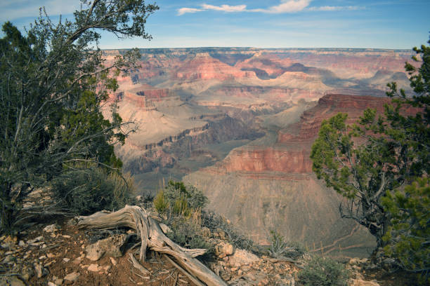 A cliff view of the Grand Canyon