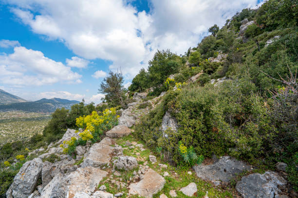 istock Ariassus or Ariassos, Antalya 1310844309