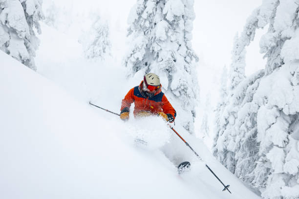 порошковые лыжи - skiing british columbia sports helmet tree стоковые фото и изображения