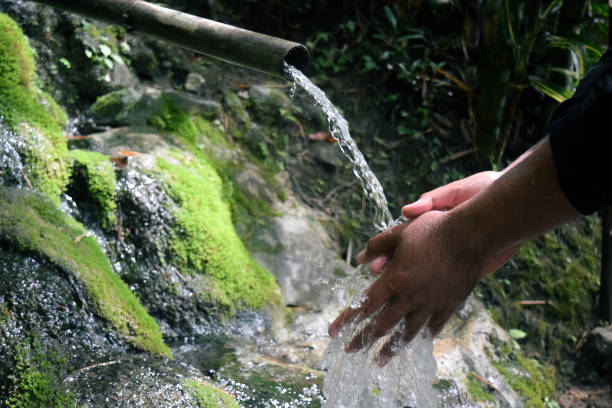 istock Washing both palms on the spring that passes through the bamboo 1310845316