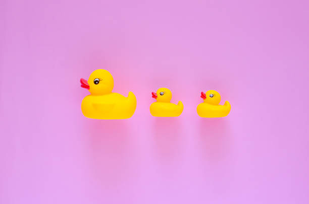 Yellow rubber duck mother leading her babies