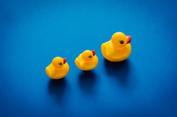 istock Yellow rubber duck mother leading her babies 1310845923