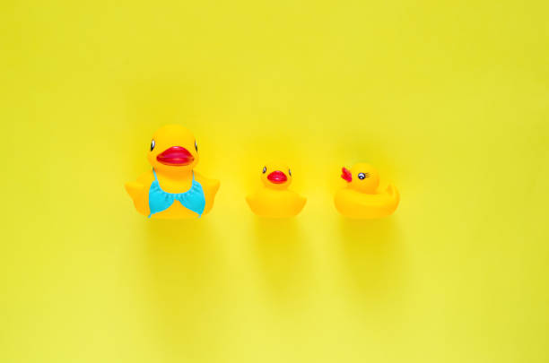 istock Rubber duck wearing blue swimming suit with her babies 1310845925