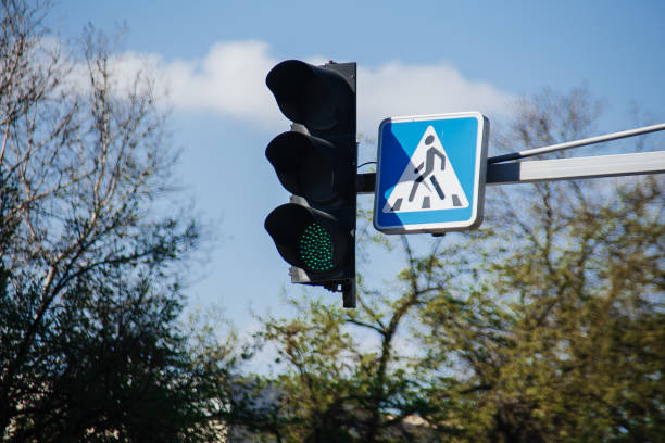 istock traffic lights and pedestrian signs 1310847327
