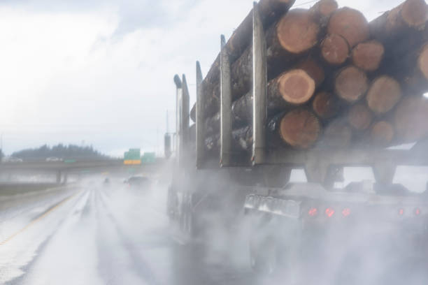 비 먼지 구름젖은 도로에서 실행 세미 트레일러에 나무 로그를 수송 큰 장비 고전적인 세미 트럭 트랙터 - lumber industry truck truck driver log 뉴스 사진 이미지