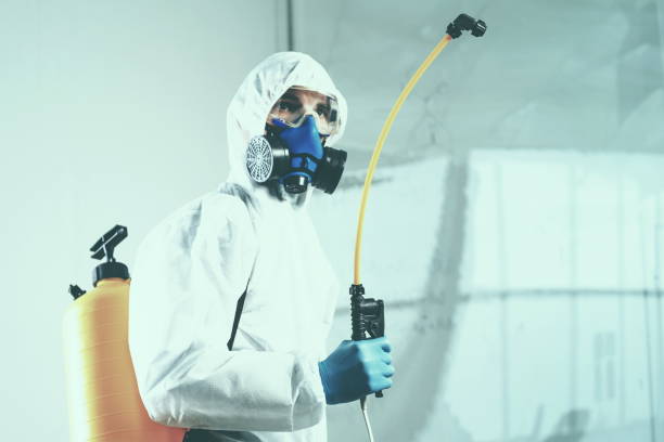 istock decontamination services worker wearing personal protective equipment, spraying disinfectant 1310854495