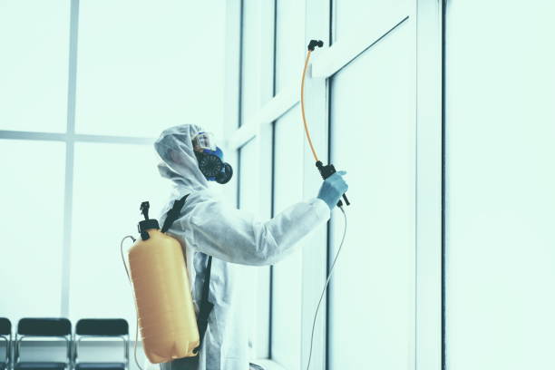 istock disinfector in a protective suit is spraying a disinfectant in the room 1310854710