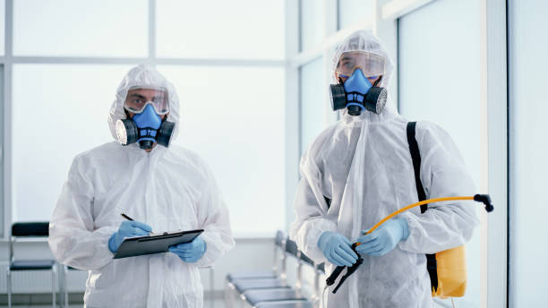 team of professional disinfectors works in a public building stock photo