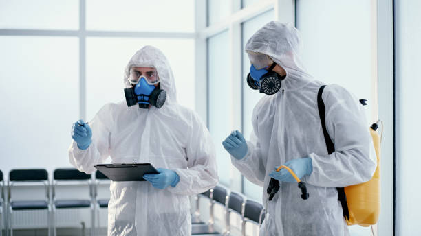 team of professional disinfector making a record of the work done team of professional disinfector making a record of the work done . concept of health protection. biohazard cleanup stock pictures, royalty-free photos & images