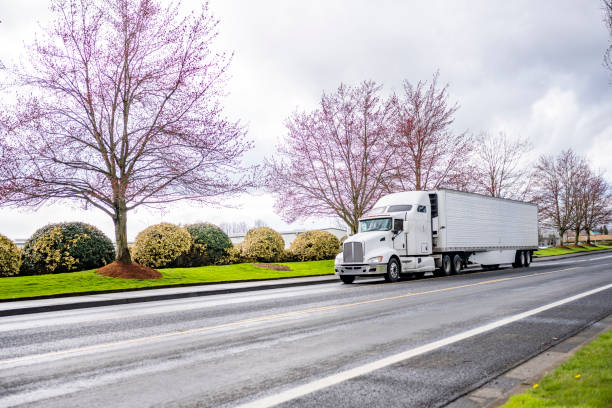 bonnet big rig biały duży rig semi truck transportu ładunku w lodówce naczepy działa na lokalnej drodze z kwitnących drzew wiosennych na stronie - refrigeration cycle zdjęcia i obrazy z banku zdjęć