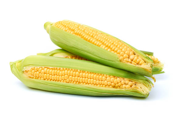 istock Fresh organic corn cob isolated on white background 1310855742