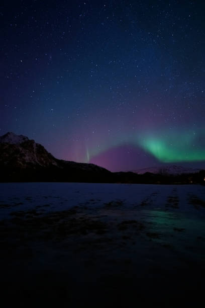 istock Northern Lights, Aurora Borealis over Northern Norway during winter 1310856045