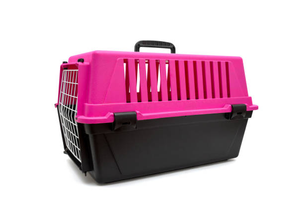 Box for transporting pets carrier on white Box for transporting pets carrier on white background. transportation cage stock pictures, royalty-free photos & images