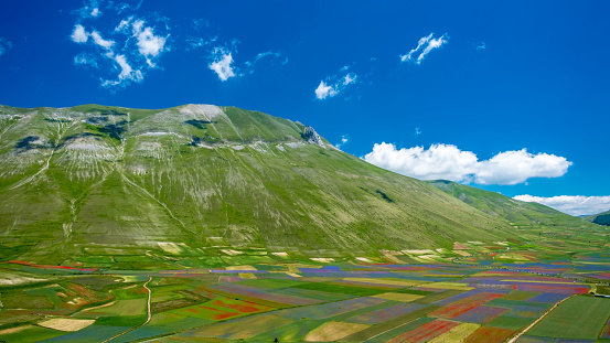 The colors of the fields of lenil full of flowers at Castelluccio di Norcia