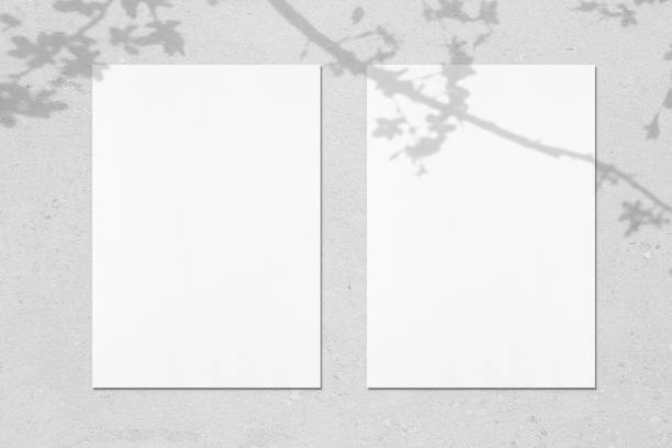 istock Two empty white vertical rectangle poster mockups with leaves and flowers shadow 1310858168