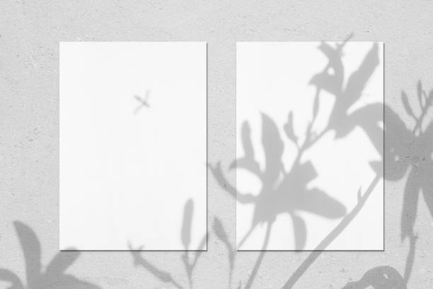istock Two empty white vertical rectangle poster mockups with lily flowers shadows 1310858243