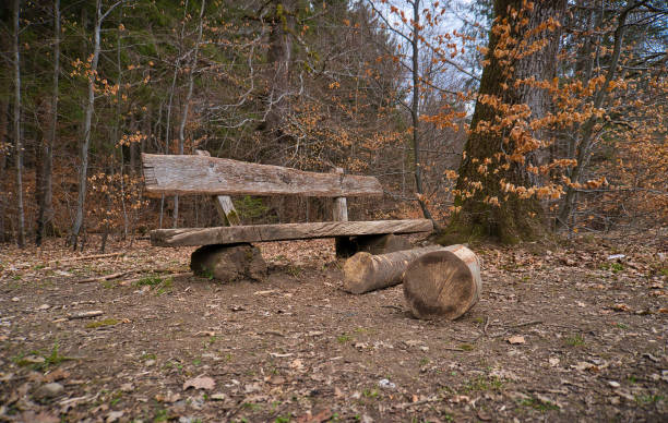 istock Wooden Bench in Autumn - 1 1310858378