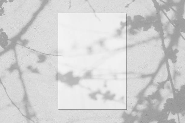 istock Empty white vertical rectangle poster mockup with leaves and flowers shadows 1310858383