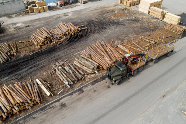 istock log warehouse at a woodworking enterprise top view. 1310860352