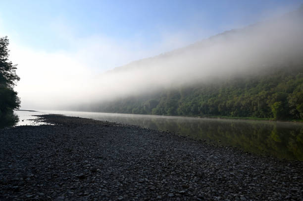 istock water to the fog forest 1310860609