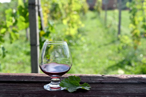 istock glass of wine 1310860664