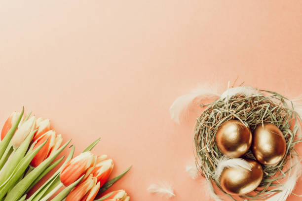 istock Easter symbol. Golden eggs in basket with spring tulips, white feathers on pastel pink background in Happy Easter decoration. Congratulatory easter flat lay design. 1310861771