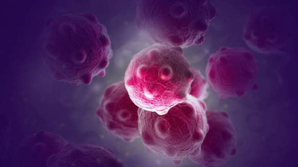 imagen cercana de las células cancerosas moradas - célula fotografías e imágenes de stock