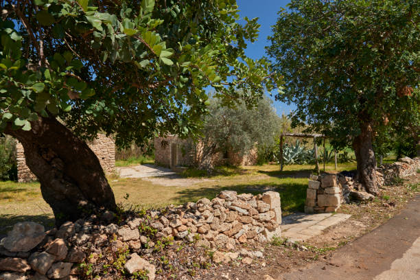 istock Vendicari protected area in SIiclia near Noto Syracuse 1310864144