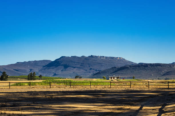 istock Landscape of field and mountains 1310865562