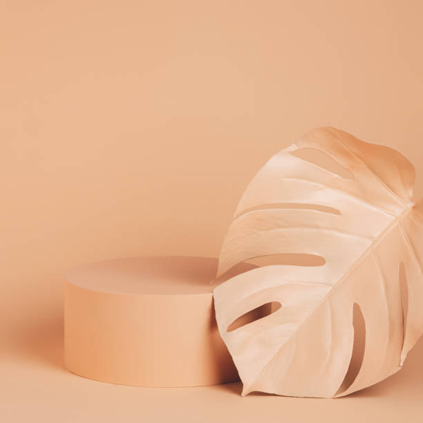 istock Luxury podium with monstera leaf and frames on pastel orange background. Concept scene stage showcase for product, promotion, sale, banner, presentation, cosmetic. Minimal showcase empty mock up. 1310865636