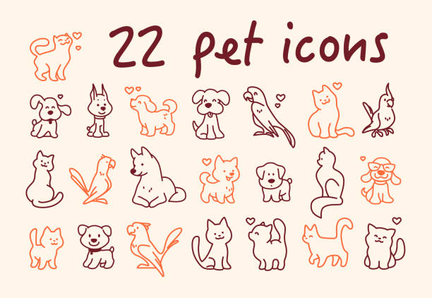 stockillustraties, clipart, cartoons en iconen met inzameling van leuke pictogrammen van het lijnkunstdier – kat, hond en papegaaikarakters die op lichte achtergrond worden geïsoleerd. - huisdier