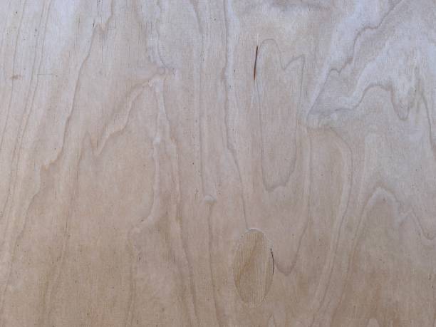 istock A brown wood background usable as a picture background. 1310869735
