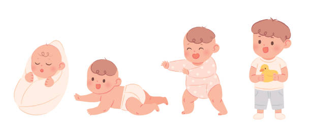 процесс роста от младенца к ребенку. - steps baby standing walking stock illustrations