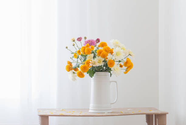 chrysantheme blumen in weißen krug in weiß interieur - bouquet flower autumn vase stock-fotos und bilder