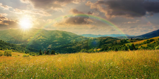 istock rural landscape with grassy meadow at sunset 1310871649