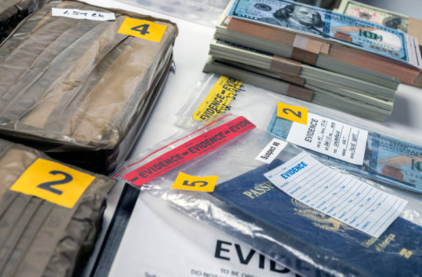 istock dollar bills and passports in criminal investigation unit, conceptual image 1310873129