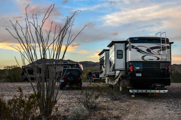 un paysage inspirant impressionnant de joshua tree np, la californie - road long dirt footpath photos et images de collection