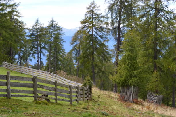 istock Landscape in Southtyrol 1310874336