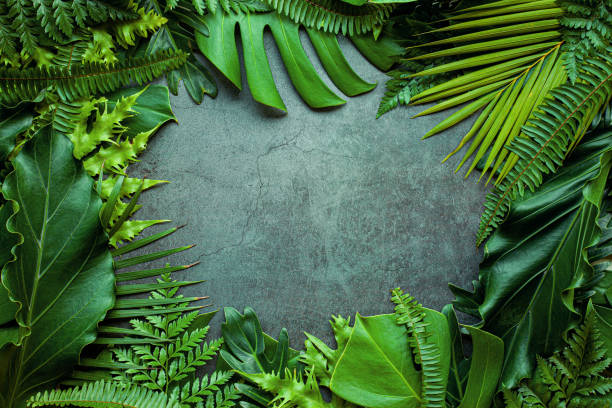 istock Creative nature layout made of tropical leaves. Summer concept 1310875878