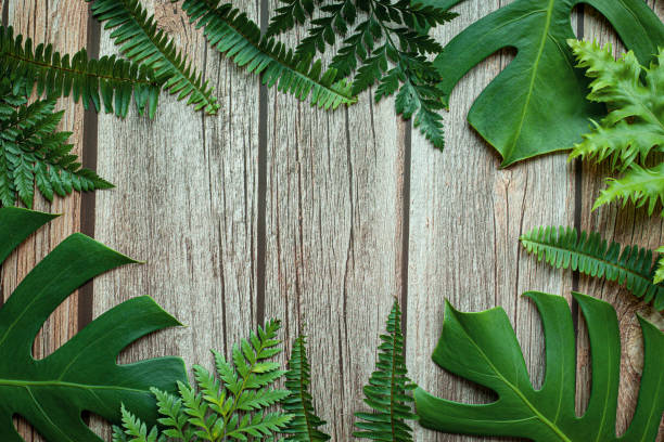 istock Creative nature layout made of tropical leaves. Summer concept. 1310876490
