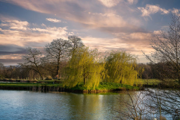 istock View across an English lake early spring 1310876895