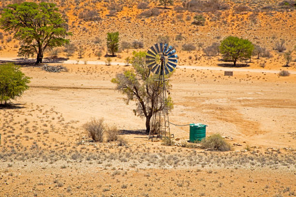 moulin à vent et réservoir d’eau verte dans le kalahari sec - water pumping windmill photos et images de collection