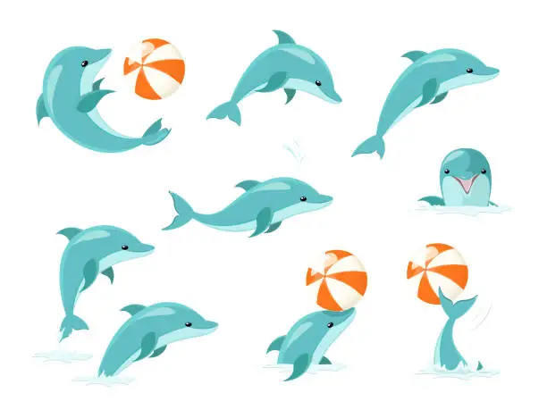 Vector illustration of Bottlenose Dolphin Performing Tricks Set of Illustrations. Cute blue dolphins set, dolphin jumping